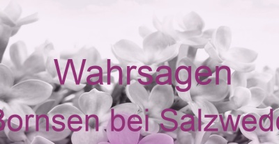 Wahrsagen Bornsen bei Salzwedel | Top-Experten für Kartenlegen, Wahrsagen, Hellsehen, Zukunftsdeutung. Wahrsagen Bornsen bei Salzwedel | Top-Experten für Kartenlegen, Wahrsagen, Hellsehen, Zukunftsdeutung.
